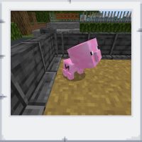 07eccef4-db28-4fe3-b903-499c2bd8b80e