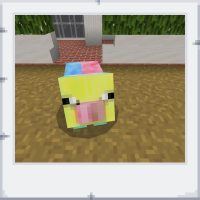 156c8f62-e0dd-49e4-a575-ac5f66ff2e47