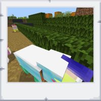 300e4fb5-ac06-4f2a-b51c-58daf3ae8c6b