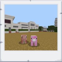 4238fb85-6972-419b-bf7d-fc3f91ef007e