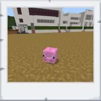 48e6be57-4f40-4047-9947-f639421ac15d