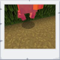 4fc2d88e-e075-4714-985d-cd0c6cb90b2f