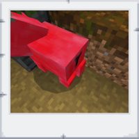 545dc7c1-b9a0-41ec-b477-b2c947e170d0