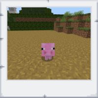 642619df-1c90-4843-b5fa-b8051ec7f806