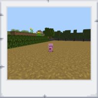 64e0177f-ccaa-4750-9dae-92110b50cac9