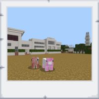 70f16f76-8082-43f3-ba89-996140d3a403