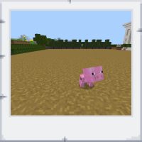 8f8fd205-4dab-48c5-891a-d3d85dac2ea1