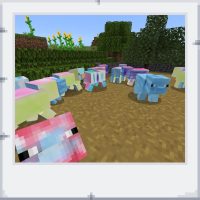 90418bed-13ee-440a-a4ee-23873537bd6f