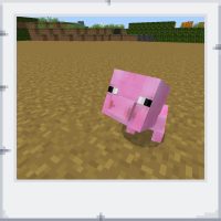 96b03700-1a8f-4277-aa51-b64c96df1cfb