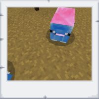 9cb3b118-d3d4-44b9-9bd6-823a70ca2c37