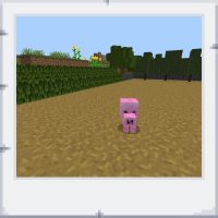 a27fbb98-2e22-45fc-bdc6-af61e1cebb25