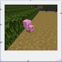 c041791d-81cd-4055-864c-1ff268d8802b