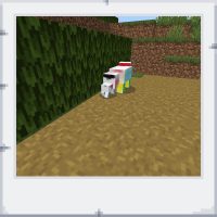 c923e6a4-31da-4188-9d77-629287607264