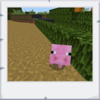 d30f5db7-e982-4fb0-8610-729b966be4d4