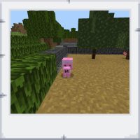 d3bab4a2-a8af-4cf6-b96c-093ad09e65cf