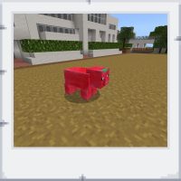 d53b837e-0264-48ef-a7e9-f1d702754ace