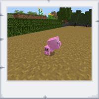 e417df6e-402e-4757-ac74-beba9e274c72